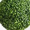 14" UV-Resistant Boxwood Ball Topiaries with Integrated Ground Stakes, 2ct.